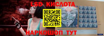 прущие грибы Нальчик